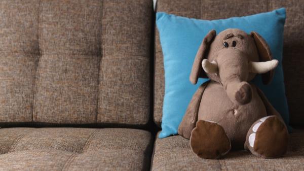 elephant stuffed animal on couch